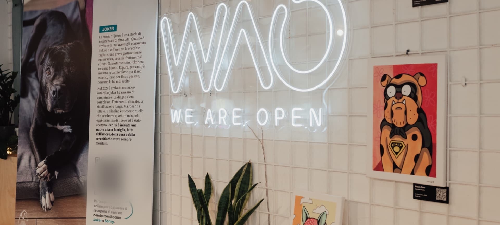 The WAO neon sign on the tiled wall, with an illustration exhibition